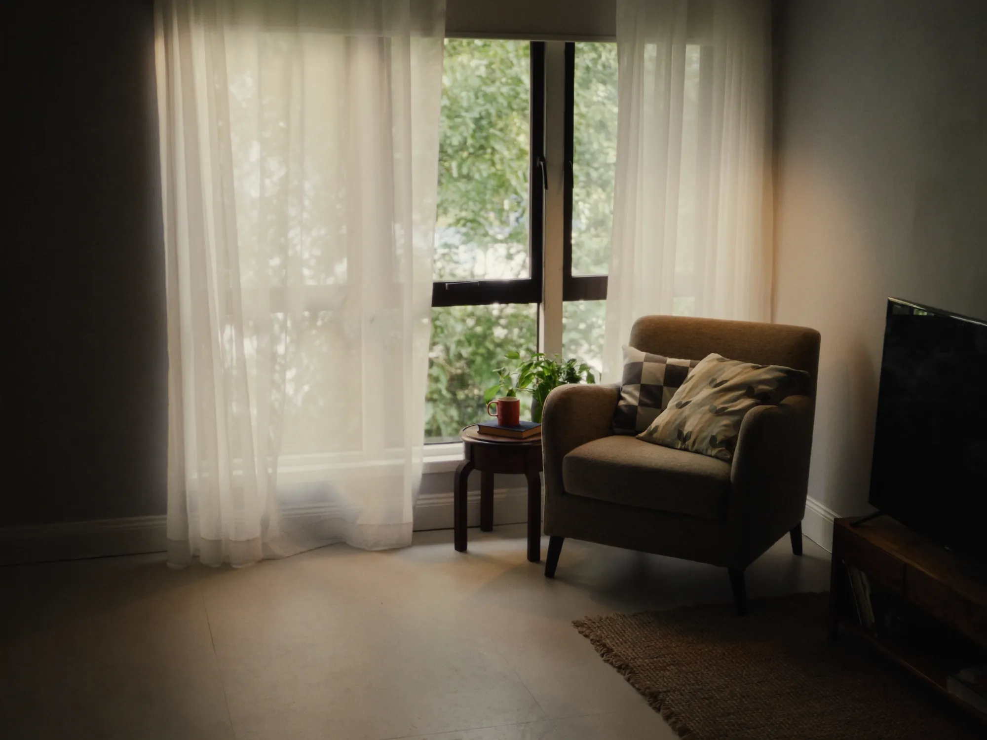 Quiet reading nook by a window